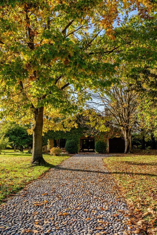 Casa Dorina Villa Padova Eksteriør billede